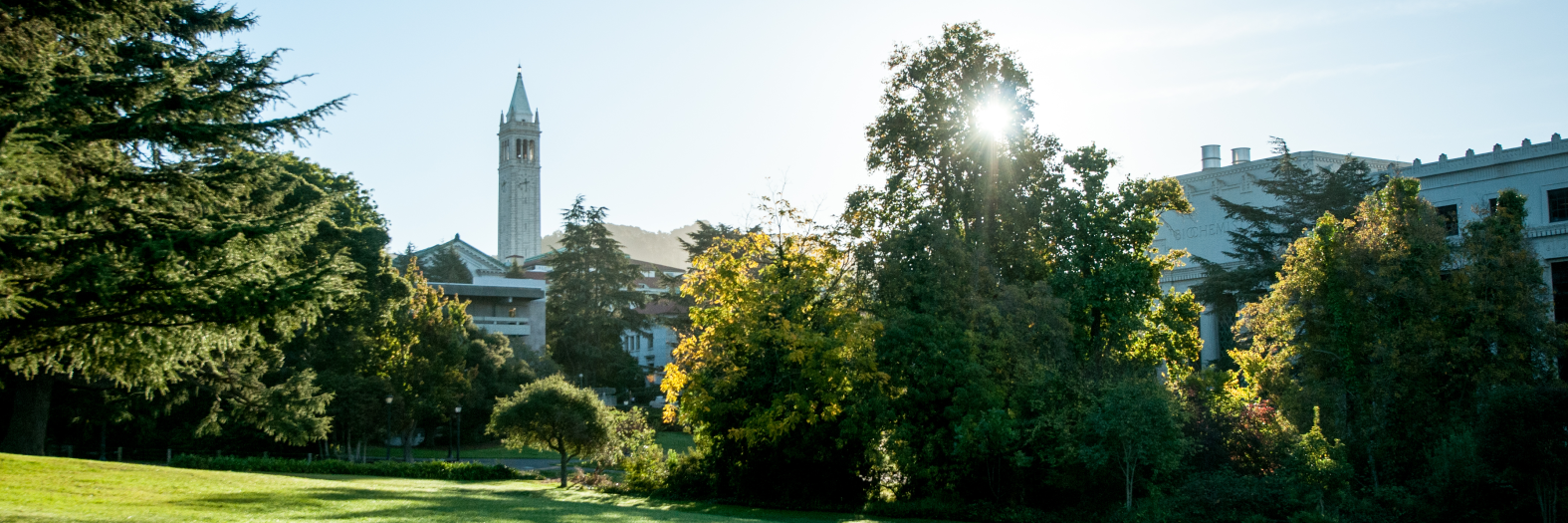 Photo of campus showing grass, trees, and the Campanile. By Keegan Houser.