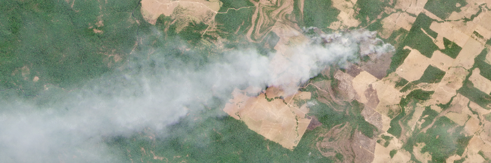 Satellite Image - Amazon Rainforest
