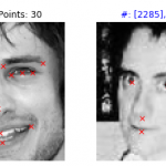 facial_keypoints_30_8.png