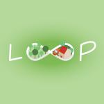loop_cover_image.jpg