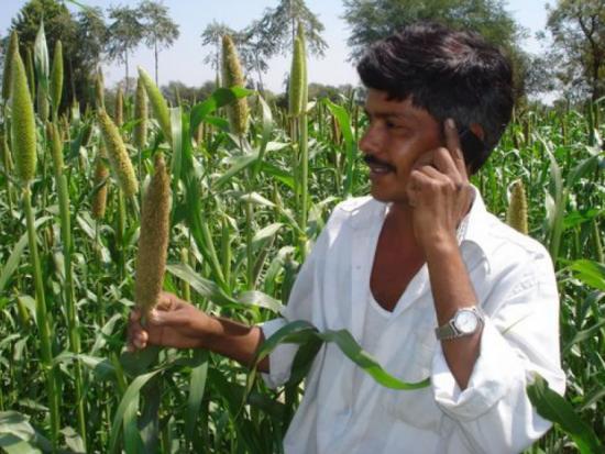 A farmer in Gujarat, India, accessing agricultural information through Avaaj Otalo (photo courtesy of Avaaj Otalo project)