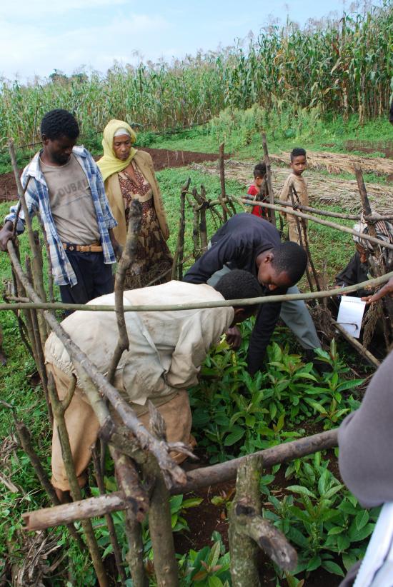 Rural farmers, such as these in Jimma, Ethiopia, could benefit from students' proposals (photo: Sarah Van Wart)