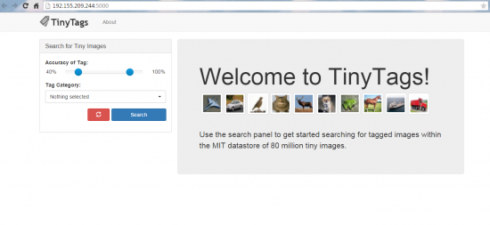 TinyTags Landing Page