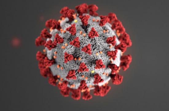 covid-19-coronavirus.jpg