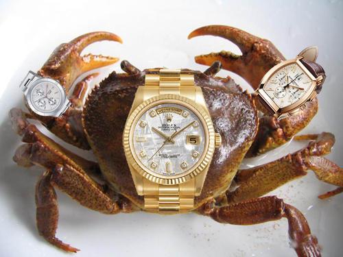 A river crab wears three watches.