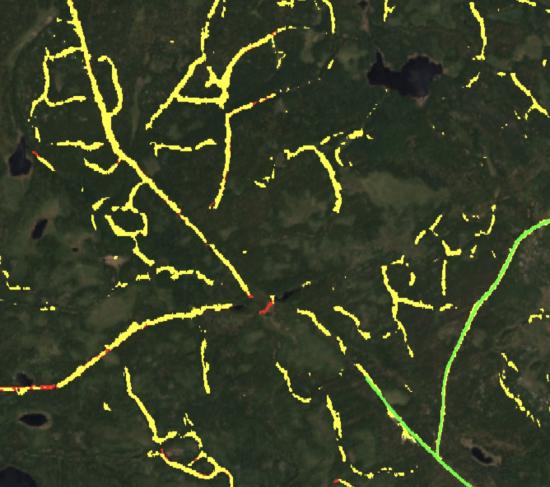 A snapshot of the logging scars detected on a satellite map